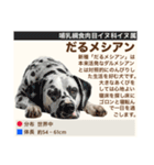 架空動物生き物図鑑（個別スタンプ：32）