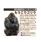架空動物生き物図鑑（個別スタンプ：36）