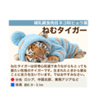 架空動物生き物図鑑（個別スタンプ：38）
