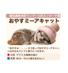 架空動物生き物図鑑（個別スタンプ：39）