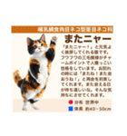 架空動物生き物図鑑（個別スタンプ：40）