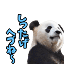 秋田弁☆パンダ（個別スタンプ：12）