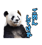 秋田弁☆パンダ（個別スタンプ：22）