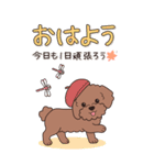 やさしいトイプードル『秋』2（個別スタンプ：1）