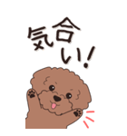 やさしいトイプードル『秋』2（個別スタンプ：13）