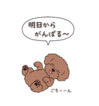 やさしいトイプードル『秋』2（個別スタンプ：14）