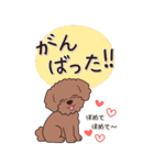 やさしいトイプードル『秋』2（個別スタンプ：16）