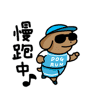 こいぬラン繁体字版（個別スタンプ：17）