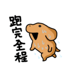 こいぬラン繁体字版（個別スタンプ：19）