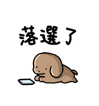 こいぬラン繁体字版（個別スタンプ：34）