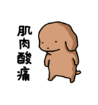 こいぬラン繁体字版（個別スタンプ：39）
