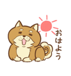 柴犬ちゃんの日常（個別スタンプ：1）