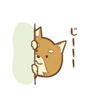 柴犬ちゃんの日常（個別スタンプ：3）
