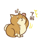 柴犬ちゃんの日常（個別スタンプ：4）