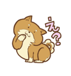 柴犬ちゃんの日常（個別スタンプ：5）