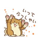 柴犬ちゃんの日常（個別スタンプ：7）