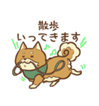 柴犬ちゃんの日常（個別スタンプ：8）