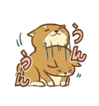 柴犬ちゃんの日常（個別スタンプ：9）