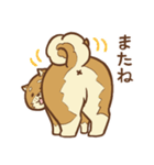 柴犬ちゃんの日常（個別スタンプ：10）