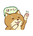 柴犬ちゃんの日常（個別スタンプ：12）