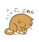柴犬ちゃんの日常（個別スタンプ：14）