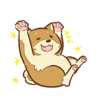 柴犬ちゃんの日常（個別スタンプ：17）