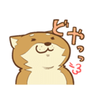 柴犬ちゃんの日常（個別スタンプ：18）