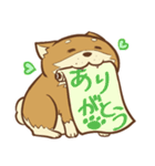 柴犬ちゃんの日常（個別スタンプ：19）