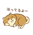 柴犬ちゃんの日常（個別スタンプ：21）