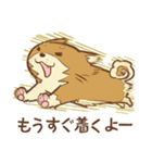 柴犬ちゃんの日常（個別スタンプ：22）