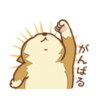 柴犬ちゃんの日常（個別スタンプ：23）