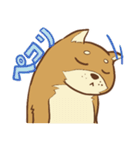 柴犬ちゃんの日常（個別スタンプ：25）