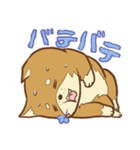 柴犬ちゃんの日常（個別スタンプ：26）