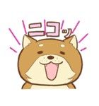 柴犬ちゃんの日常（個別スタンプ：28）