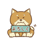 柴犬ちゃんの日常（個別スタンプ：30）