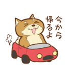 柴犬ちゃんの日常（個別スタンプ：33）