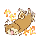 柴犬ちゃんの日常（個別スタンプ：34）