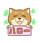 柴犬ちゃんの日常（個別スタンプ：35）