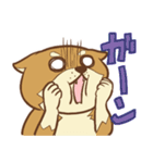 柴犬ちゃんの日常（個別スタンプ：36）