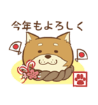 柴犬ちゃんの日常（個別スタンプ：38）