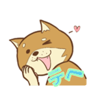 柴犬ちゃんの日常（個別スタンプ：39）