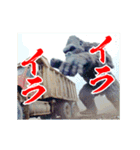 めちゃくちゃ怒ってるゴリラ（個別スタンプ：11）