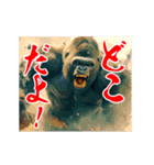 めちゃくちゃ怒ってるゴリラ（個別スタンプ：17）
