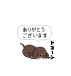 極・激しく尻尾をふるダックス 2（個別スタンプ：1）