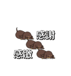 極・激しく尻尾をふるダックス 2（個別スタンプ：2）