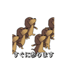 極・激しく尻尾をふるダックス 2（個別スタンプ：4）