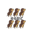 極・激しく尻尾をふるダックス 2（個別スタンプ：8）