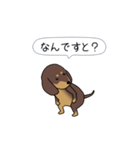 極・激しく尻尾をふるダックス 2（個別スタンプ：9）