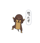 極・激しく尻尾をふるダックス 2（個別スタンプ：10）