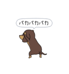 極・激しく尻尾をふるダックス 2（個別スタンプ：13）